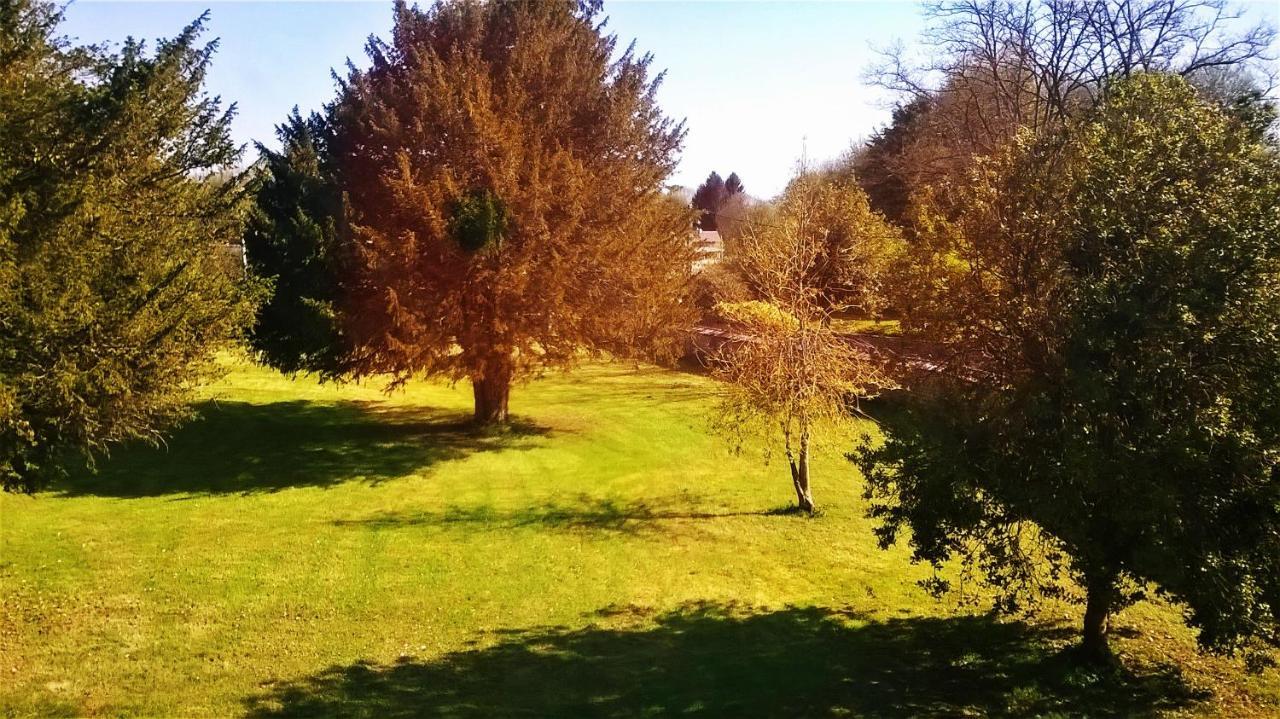 Domaine De Surgy Albergue Exterior foto